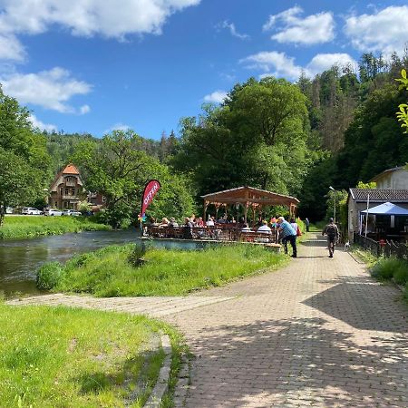 Pension Sternschnuppe, Treseburg Harz, Unmittelbar Am Wasser Тале Екстер'єр фото