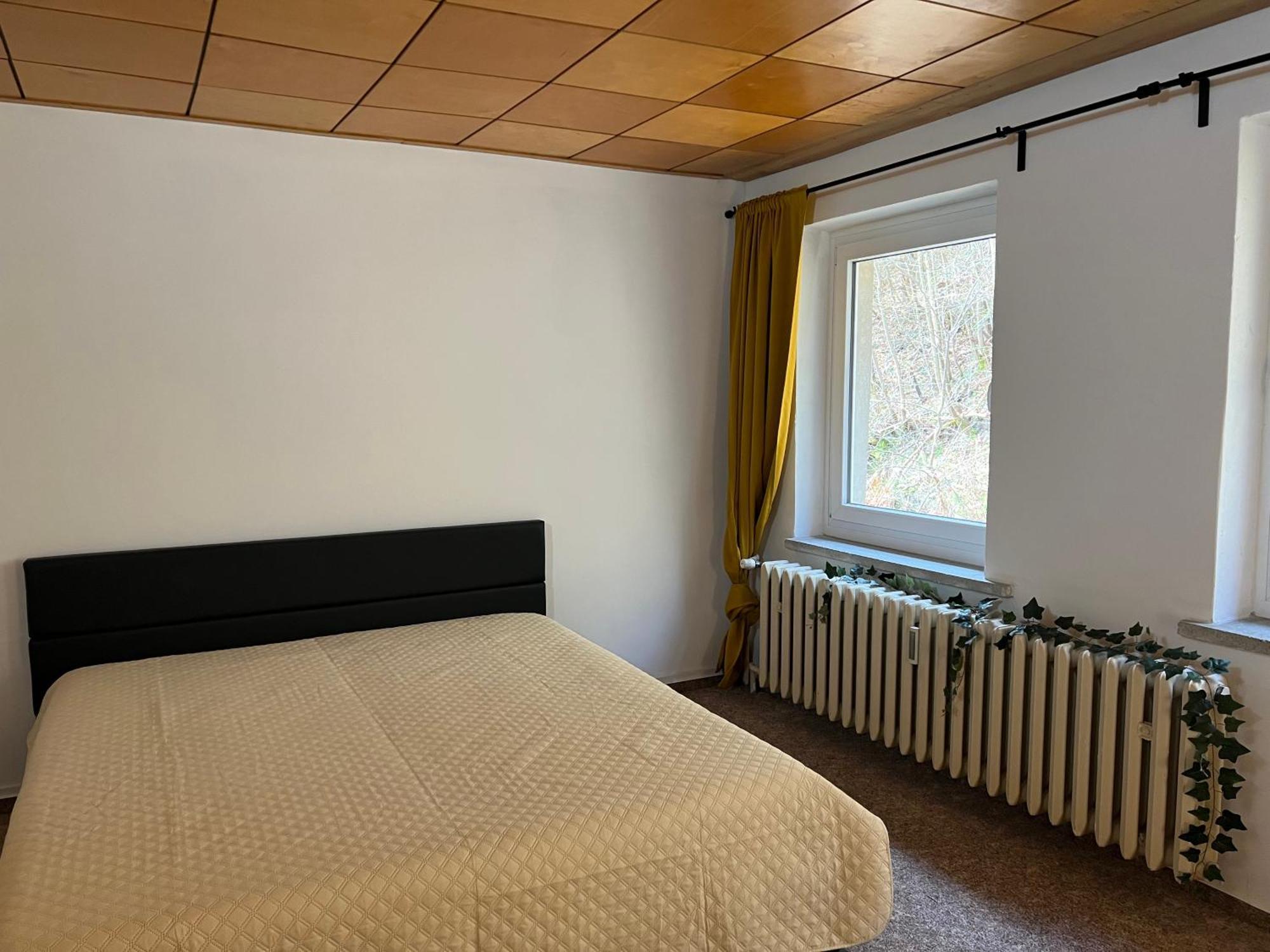 Pension Sternschnuppe, Treseburg Harz, Unmittelbar Am Wasser Тале Екстер'єр фото