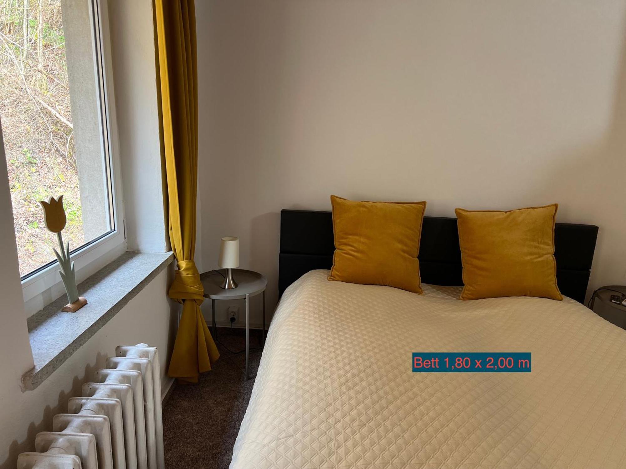 Pension Sternschnuppe, Treseburg Harz, Unmittelbar Am Wasser Тале Екстер'єр фото